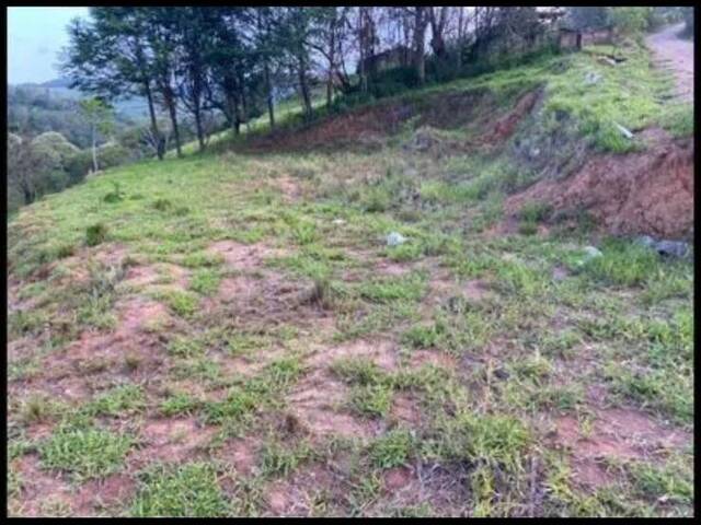 Área para Venda em Bom Jesus dos Perdões - 5