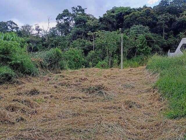 Área para Venda em Bom Jesus dos Perdões - 5